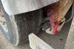 Image 24