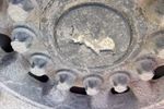 Image 16