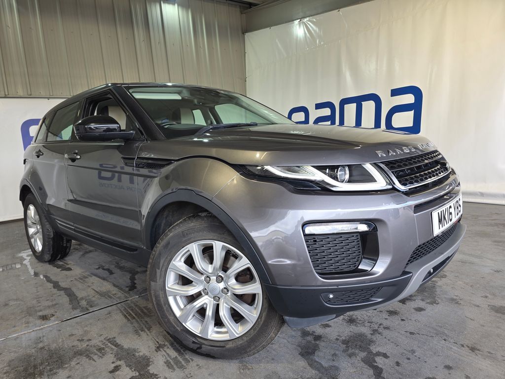 Car Auction