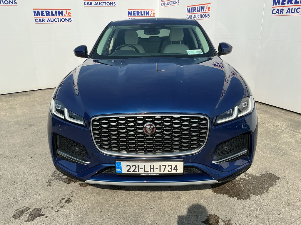 Car Auction