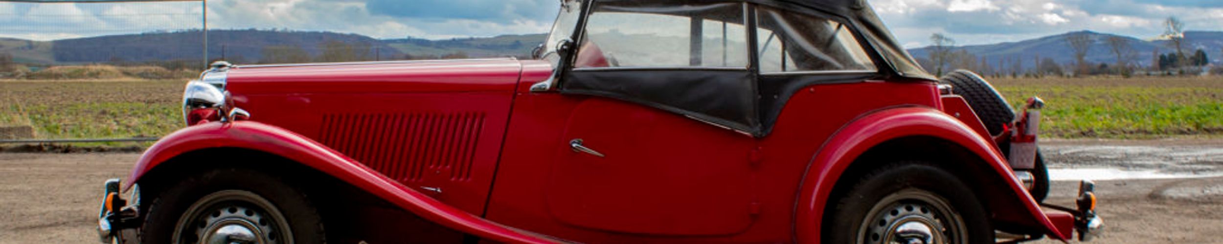 O…MG! WHAT AN AUCTION!