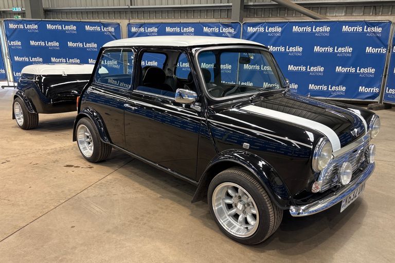 ROVER MINI