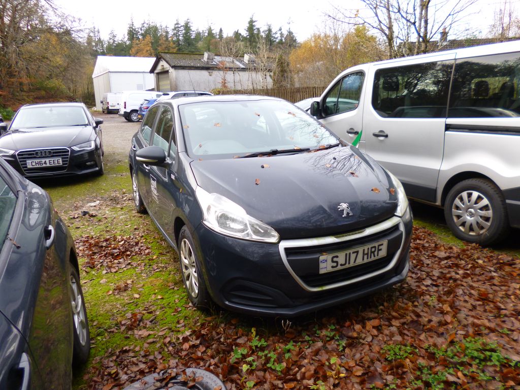 Car Auction