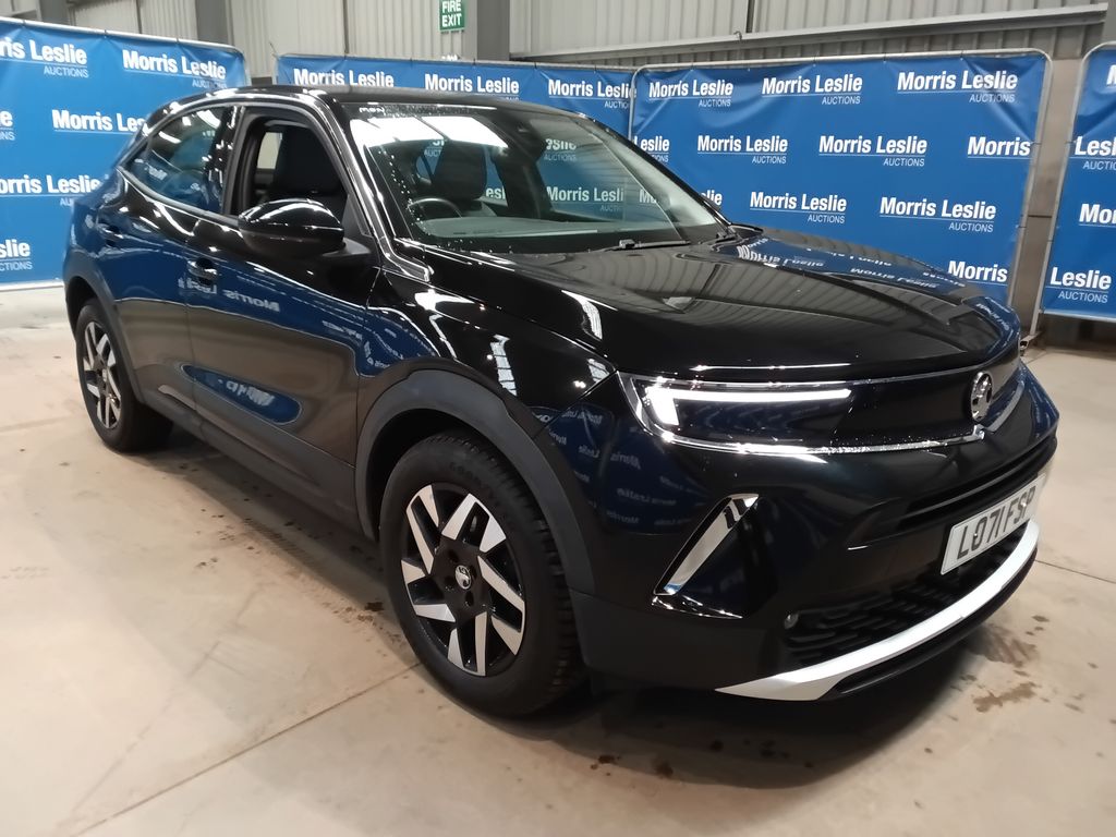Car Auction