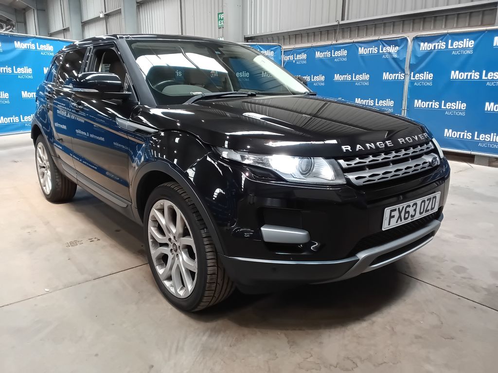 Car Auction