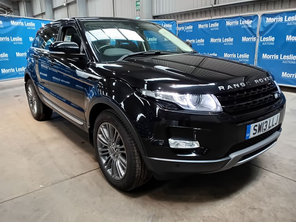 Car Auction