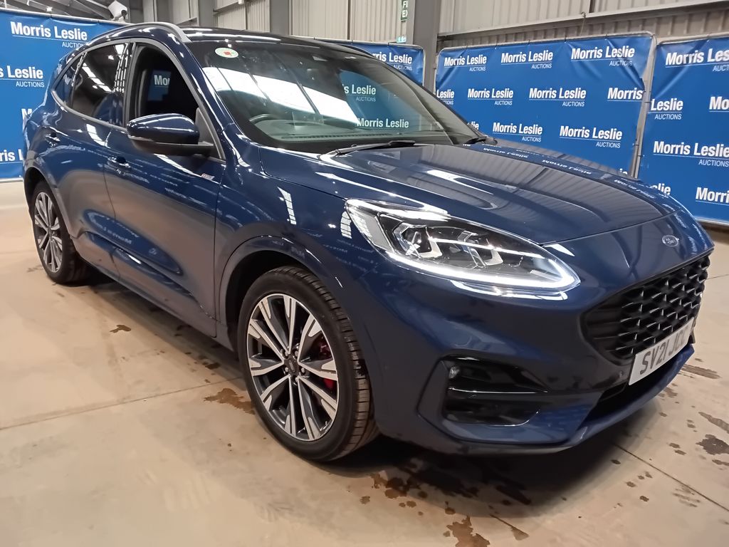 Car Auction