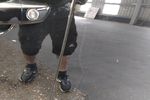 Image 6