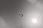 Image 13