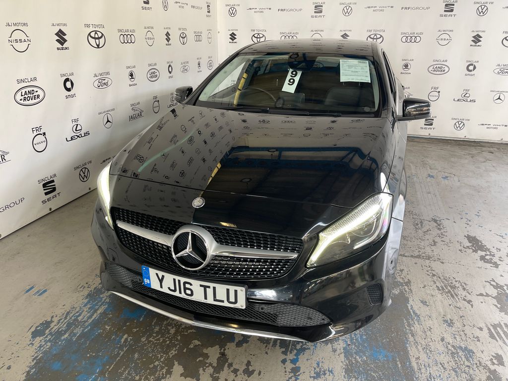 Car Auction