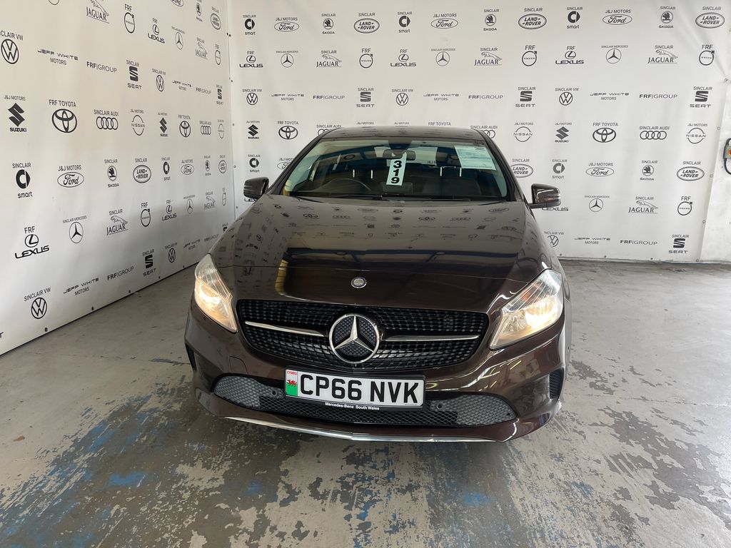 Car Auction