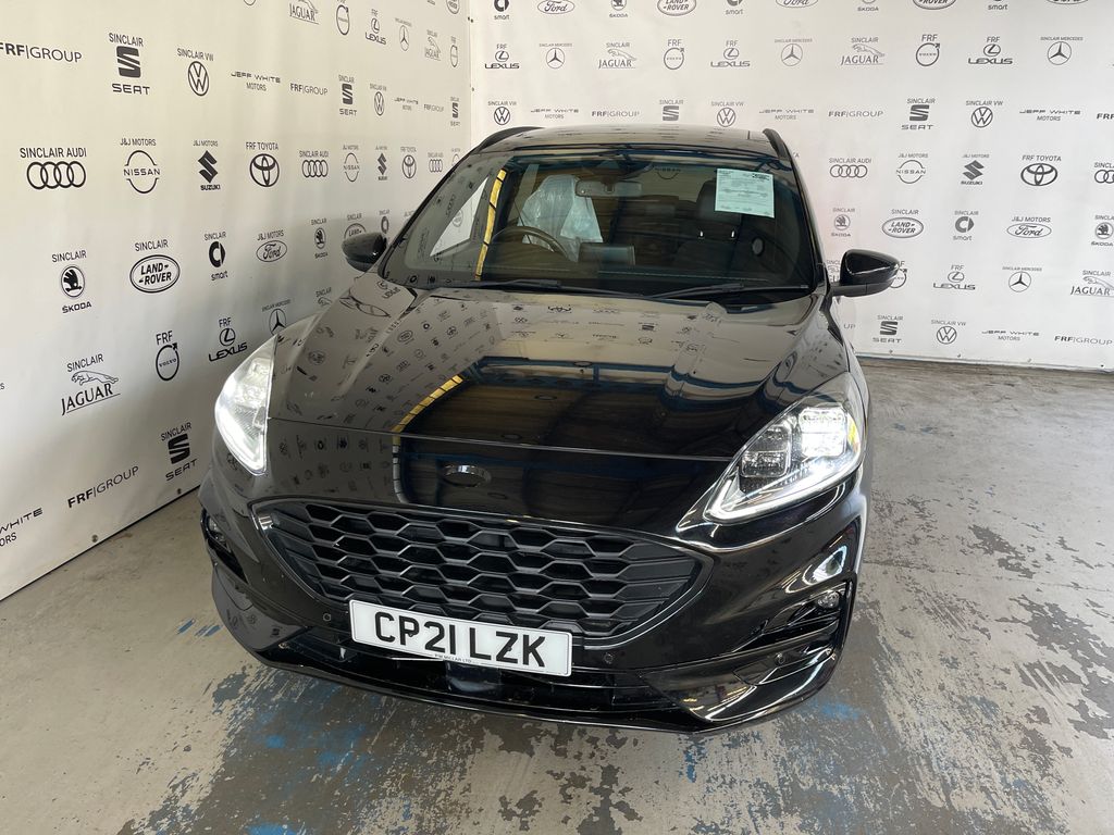 Car Auction