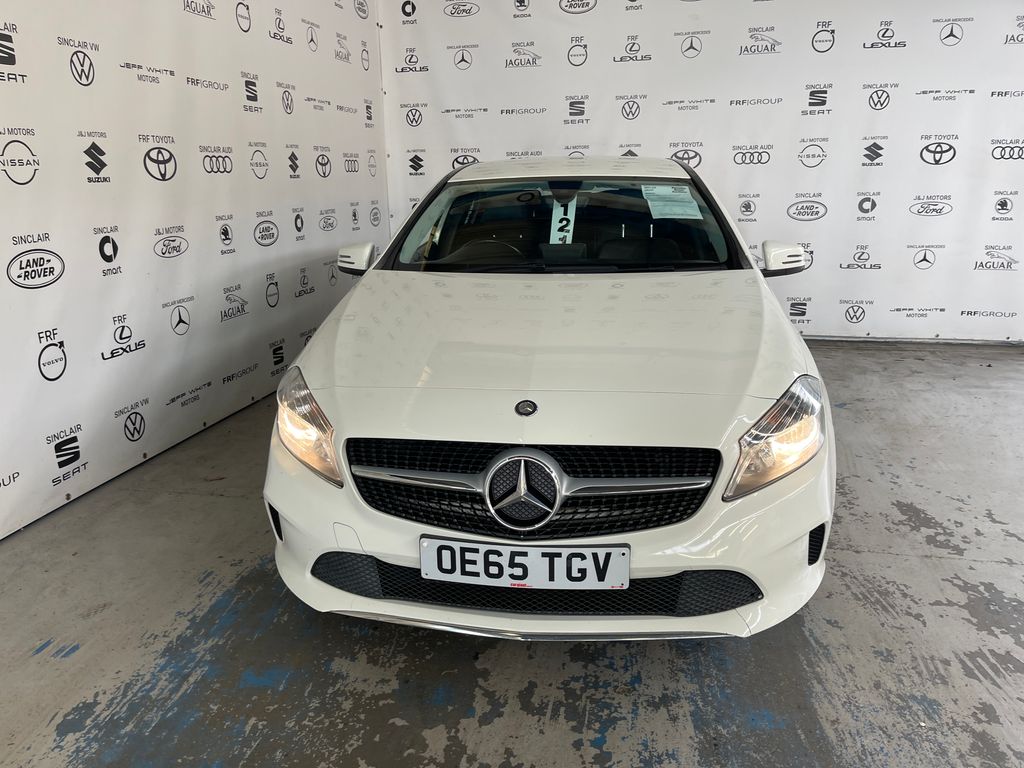 Car Auction