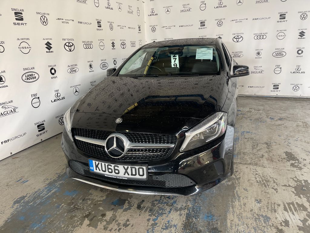 Car Auction