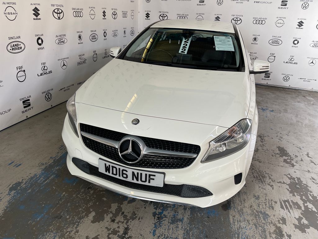 Car Auction