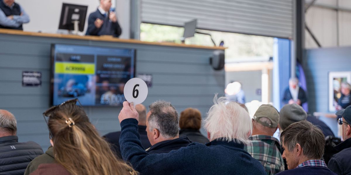 Auctioneer